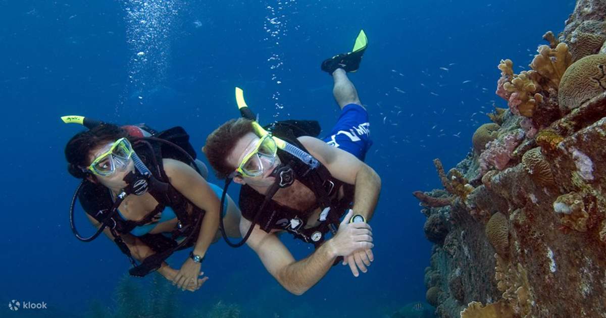Experience the Thrill of PADI Try Scuba Diving in Koh Samui with PADI 5 Star Dive Center Klook